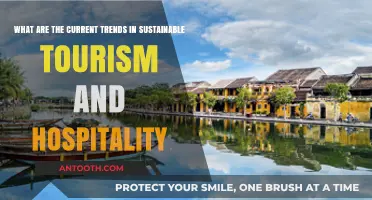 Exploring Eco-Friendly Innovations in Sustainable Tourism and Hospitality Trends
