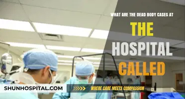 Understanding Morgue Procedures: Hospital Dead Body Cases Explained