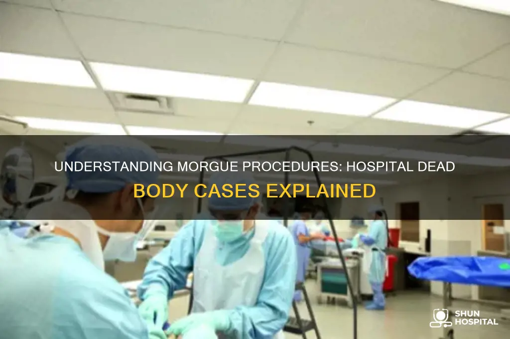 what are the dead body cases at the hospital called