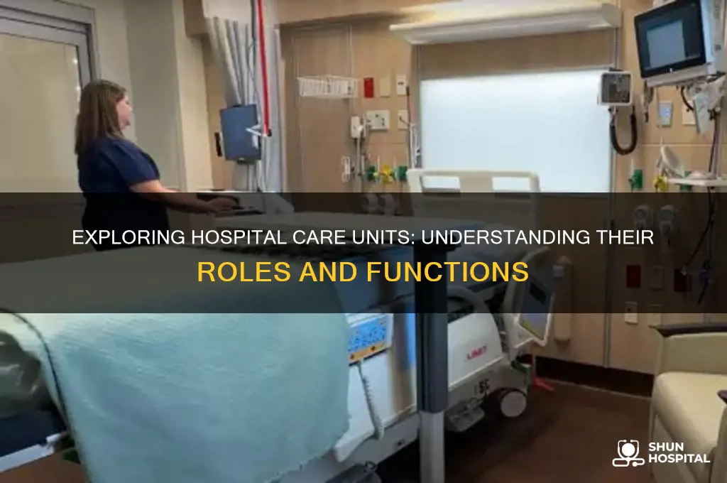 what are the different care units in a hospital