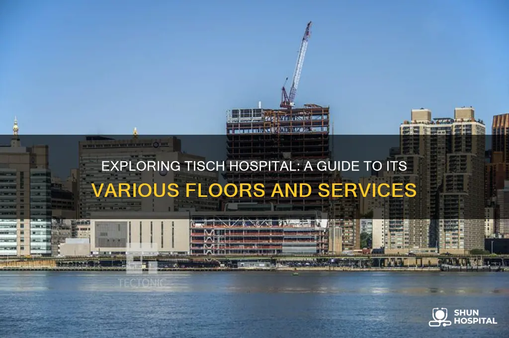 what are the different floors of the tisch hospital