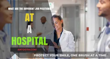 Exploring Diverse Hospital Job Roles: From Nurses to Administrators