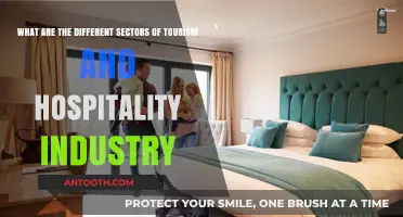 Exploring Diverse Sectors in Tourism and Hospitality Industry Overview