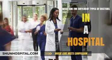 Exploring the Diverse Specialties of Doctors in a Hospital