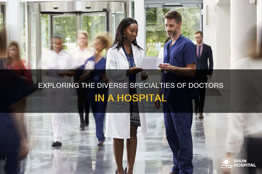 what are the different types of doctors in a hospital