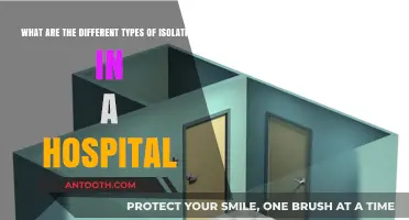 Understanding Hospital Isolation Types: A Comprehensive Guide for Patient Safety