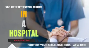 Exploring Diverse Nursing Roles: Types of Nurses in Hospitals