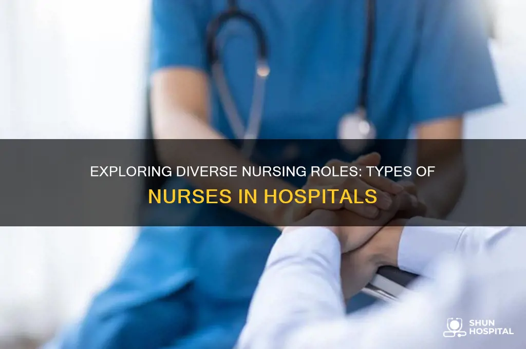 what are the different types of nurses in a hospital