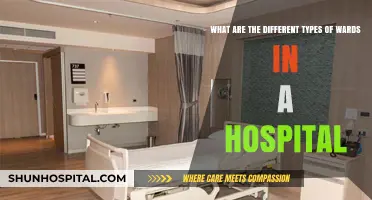 Exploring Hospital Wards: Types, Functions, and Patient Care Areas