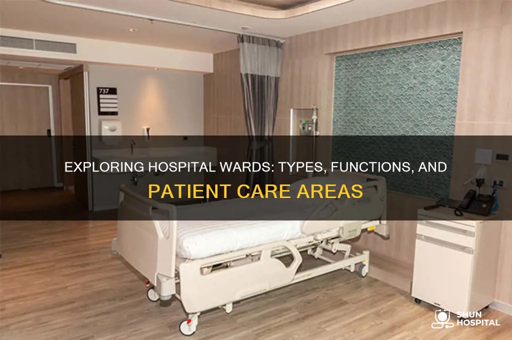 what are the different types of wards in a hospital