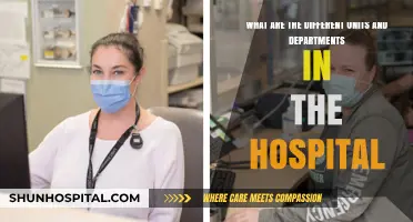 Exploring Hospital Structure: Key Units and Departments Explained