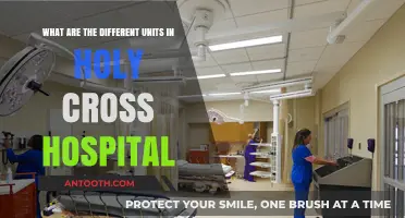 Exploring Holy Cross Hospital's Diverse Units and Departments
