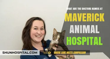 Meet the Dedicated Veterinarians at Maverick Animal Hospital: A Guide