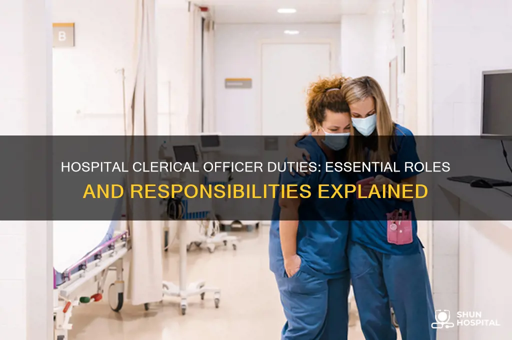 what are the duties of clerical officer in a hospital