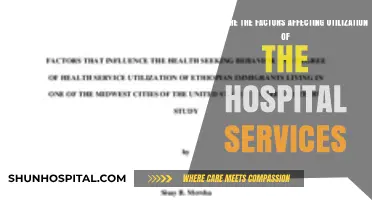 Key Factors Influencing Hospital Service Utilization: A Comprehensive Analysis