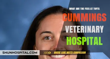 Tufts Cummings Veterinary Hospital Fees: What to Expect for Pet Care