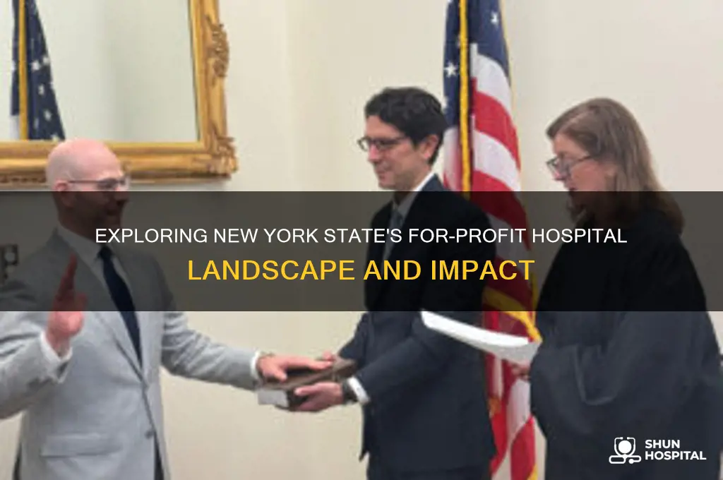 what are the for profit hospitals in new york state