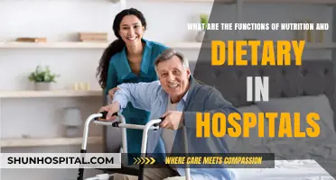 Hospital Nutrition: Essential Functions of Dietary Care for Patient Recovery
