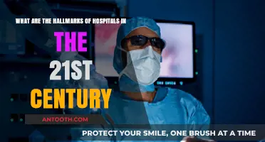 Innovative Care: Defining Features of 21st-Century Hospitals and Healthcare