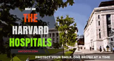 Exploring Harvard's Renowned Hospitals: A Comprehensive Guide to Excellence