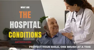 Exploring Hospital Conditions: Quality, Safety, and Patient Experience Insights