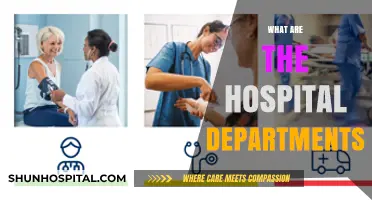 Exploring the Diverse Departments Within Modern Hospitals: A Comprehensive Guide