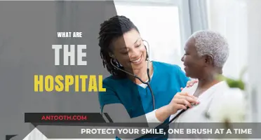 Understanding Hospitals: Essential Roles, Services, and Patient Care Explained