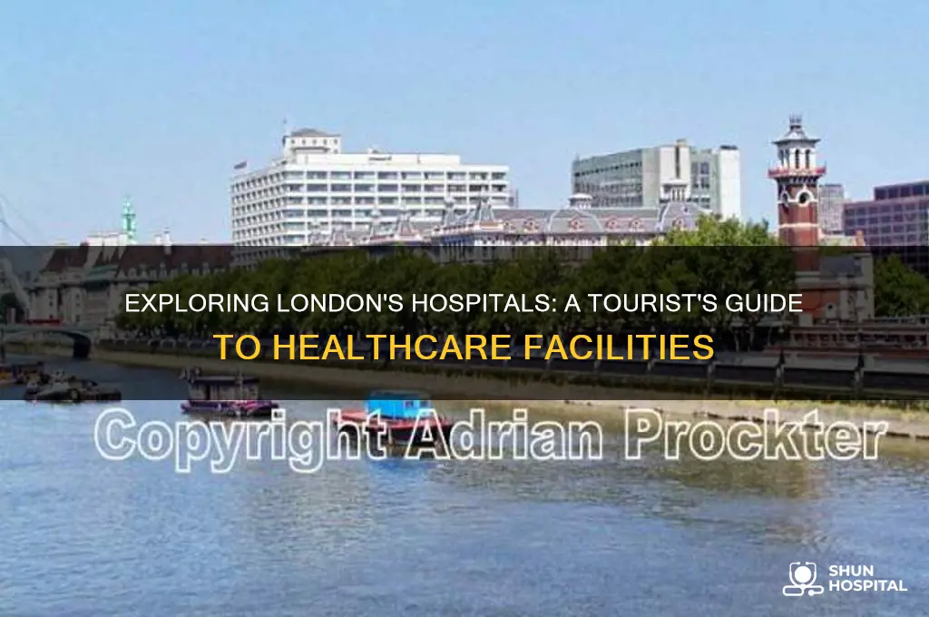what are the hospitals like in london for a tourist
