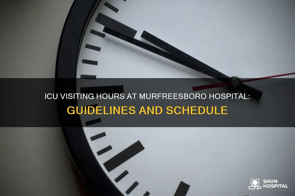what are the icu visiting hours at murfreesboro hospital