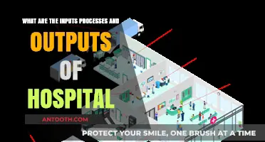 Understanding Hospital Operations: Inputs, Processes, and Outputs Explained