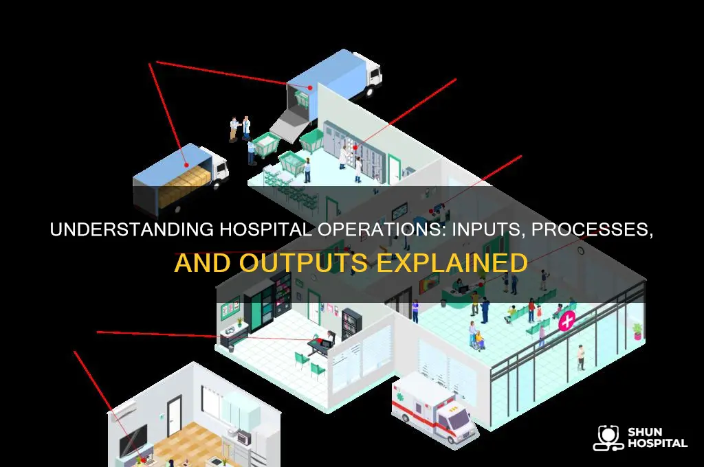 what are the inputs processes and outputs of hospital