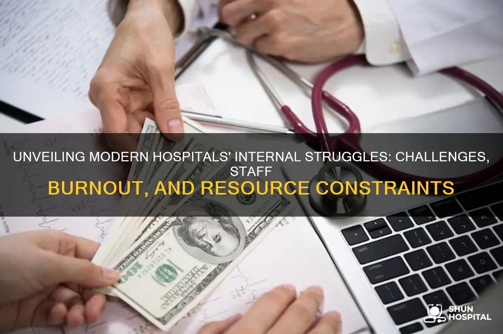 what are the internal problems of a modern hospital