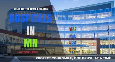 Minnesota's Top Trauma Centers: Level 1 Hospitals Saving Lives