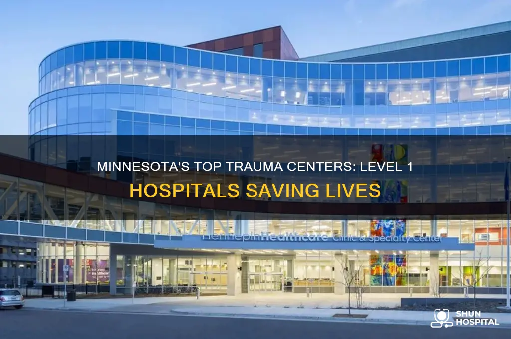 what are the level 1 trauma hospitals in mn