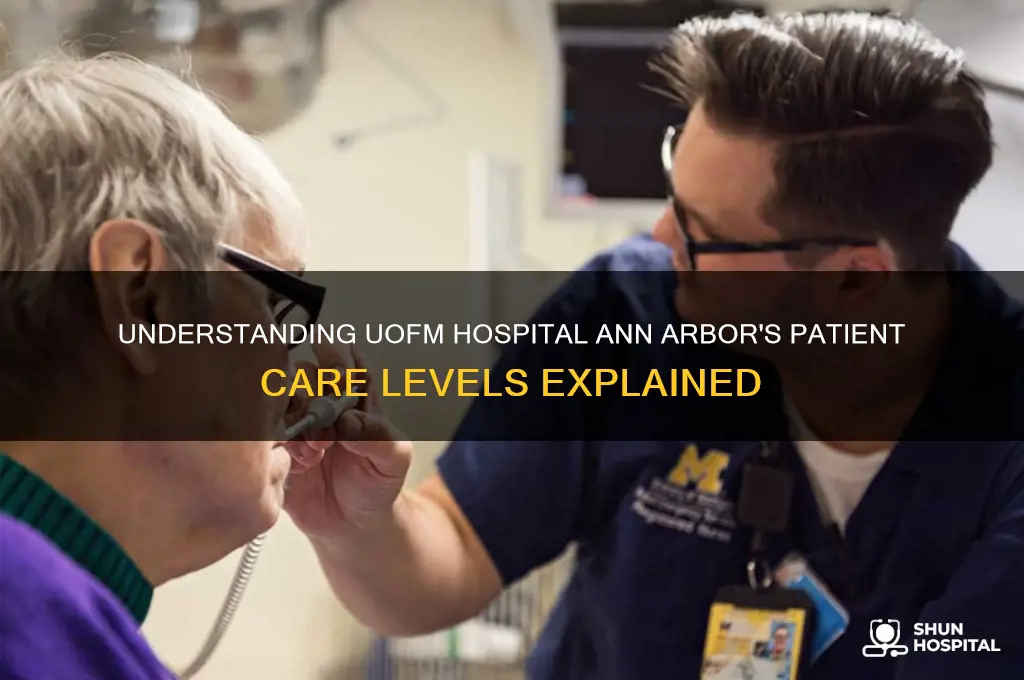what are the levels at uofm hospital ann arbor