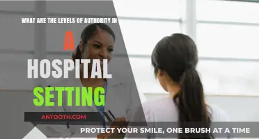 Understanding Hospital Hierarchy: Levels of Authority in Healthcare Settings