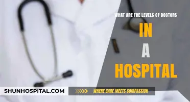Understanding Hospital Doctor Hierarchy: Roles and Levels Explained