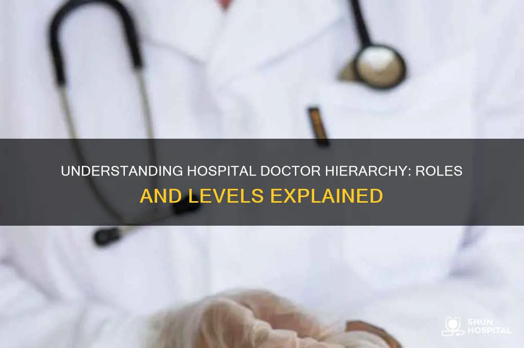 what are the levels of doctors in a hospital