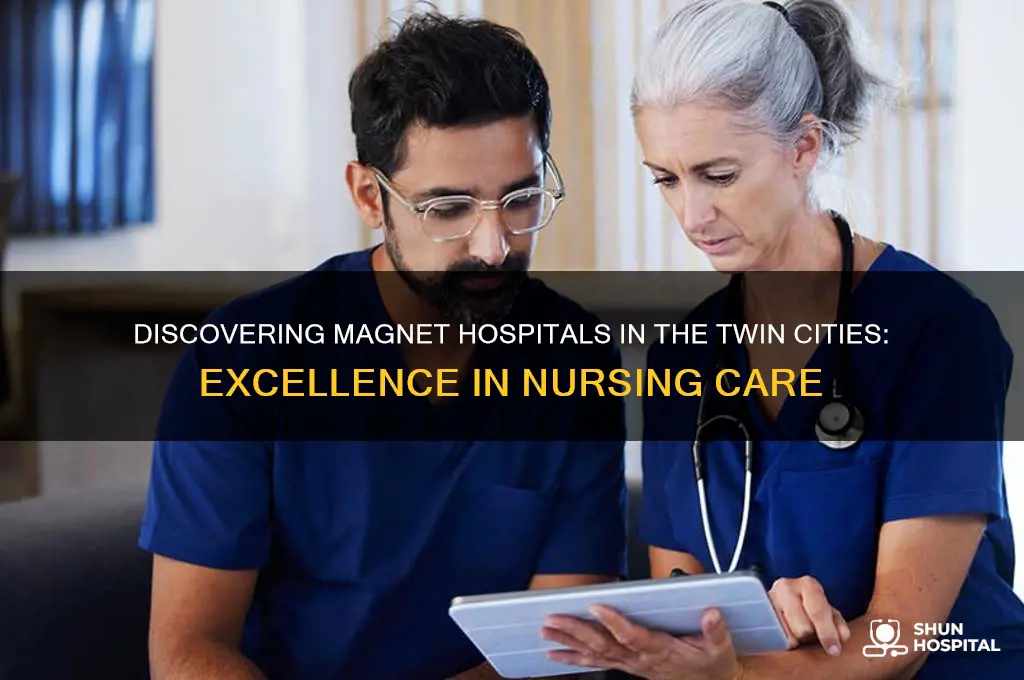 what are the magnet hospitals in the twin cities