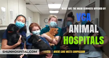 VCA Animal Hospitals: Comprehensive Services for Your Pet's Health
