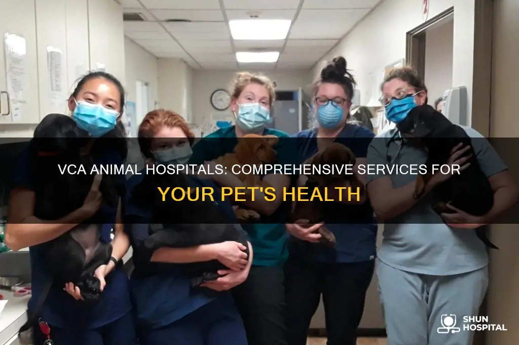 what are the main services offered by vca animal hospitals