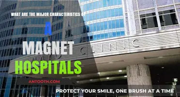 Key Traits of Magnet Hospitals: Excellence in Nursing and Care