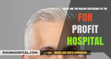 For-Profit Hospitals: Key Criticisms and Ethical Concerns Explored