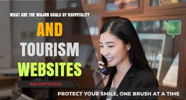 Enhancing User Experience: Key Goals of Hospitality and Tourism Websites