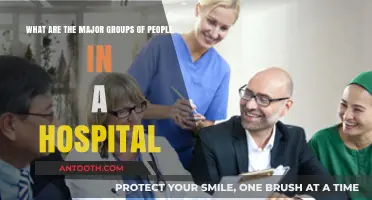 Understanding the Key Roles and Groups in a Hospital Setting