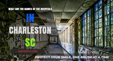 Charleston SC Hospitals: A Comprehensive List of Medical Facilities