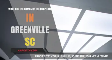 Discovering Greenville SC's Top Hospitals: Names and Locations
