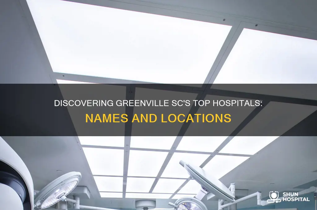 what are the names of the hospitals in greenville sc