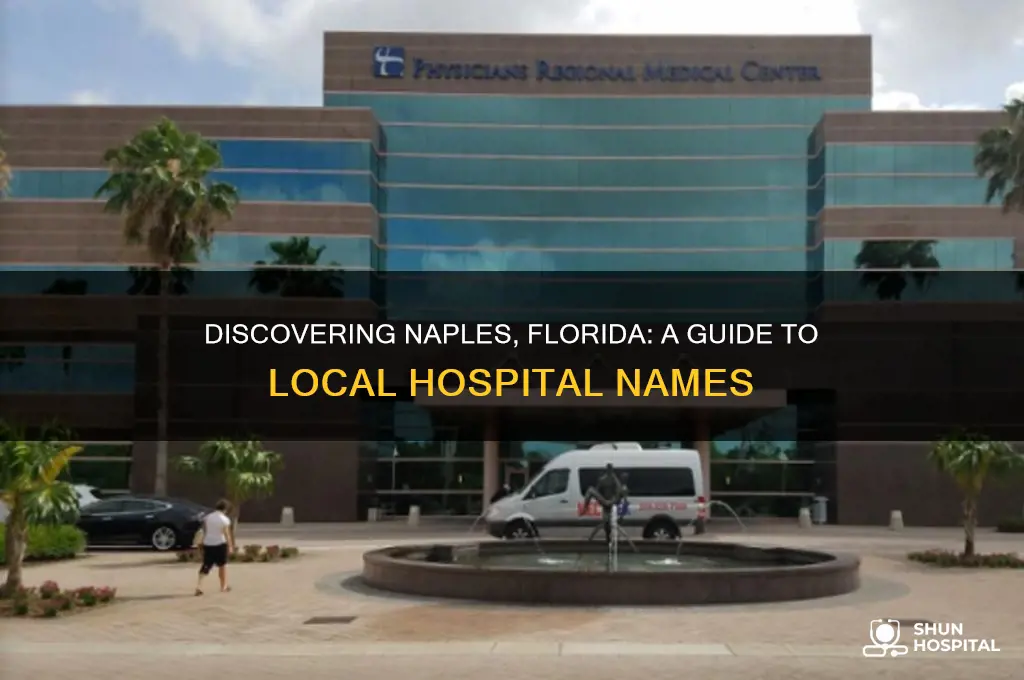 what are the names of the hospitals in naples florida