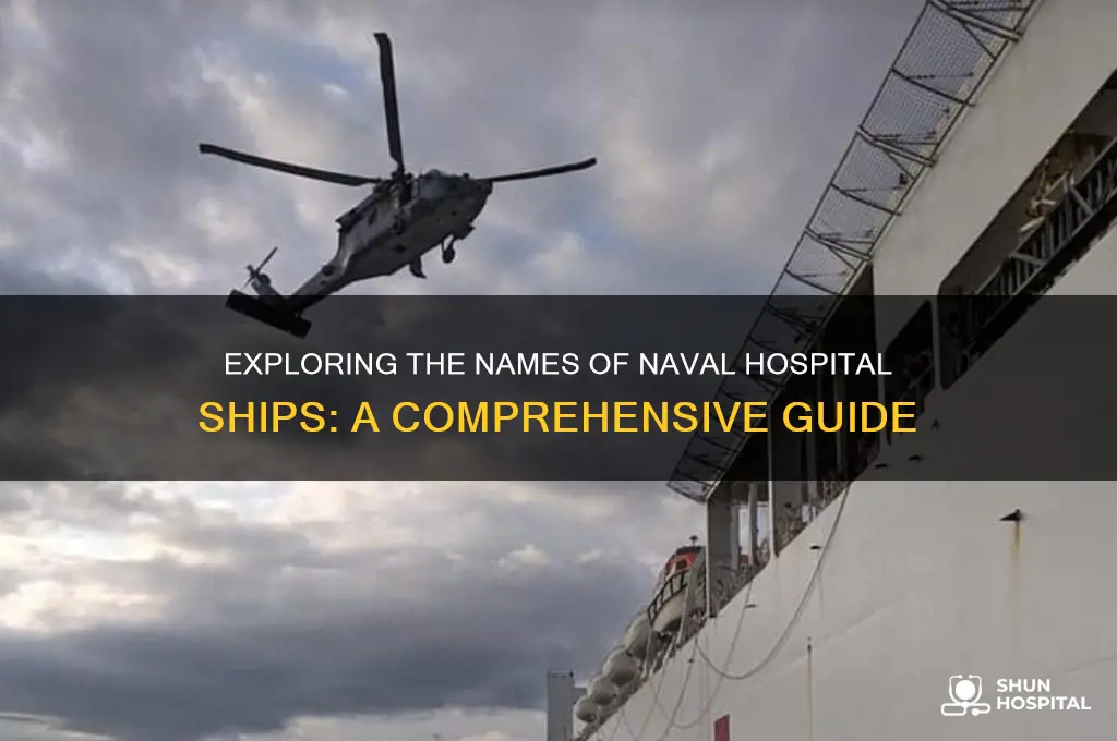 what are the names of the naval hospital ships